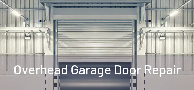  Overhead Garage Door Repair 